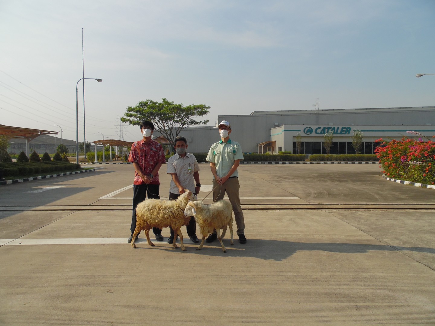 Bantuan Hewan Qurban